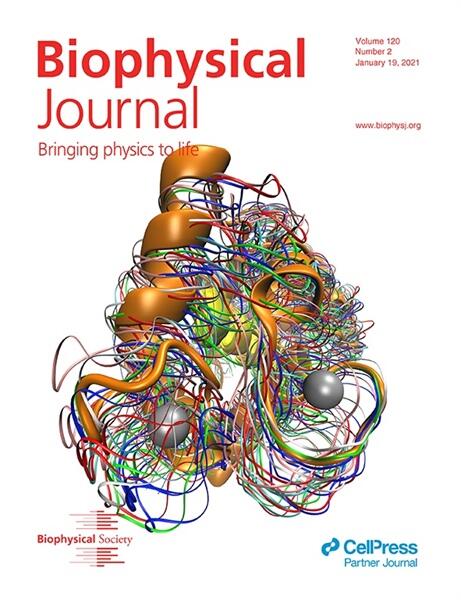 Cover Art Biophysical Journal