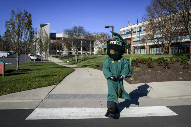 Mason's Patriot mascot walks across the street in a graduation gown with a face mask.