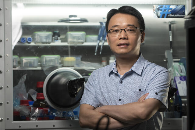 Dr. Chao Luo in his lab
