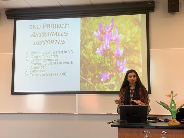 Sabiha Basit, Biology alum (‘21), presents her research at the Virginia Academy of Science. Photo credits: Andrea Weeks