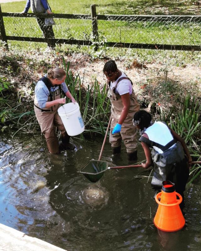 Dr. Amy Fowler and two others collecting samples in a stream in Leesylvania State Park
