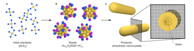 Fig. 1: Illustration of a typical anisotropic metal nanoparticle synthesis from Atomically precise nanoclusters predominantly seed gold nanoparticle syntheses.