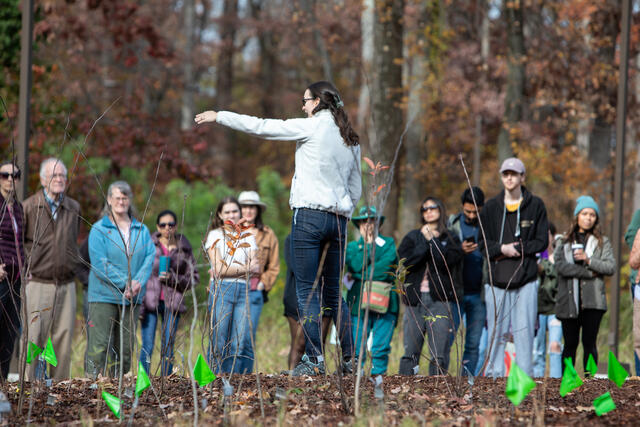 Foragers Forest Opening