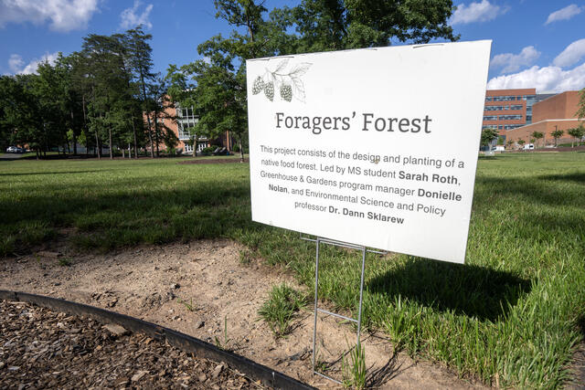 Sign describing what the Foragers Forest is