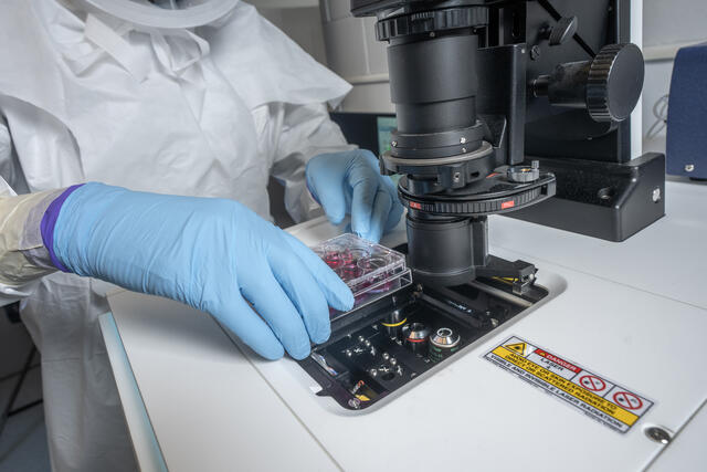 Scientist working in the Biohealth Innovation Lab