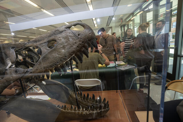 Students attend ScienceConnect in Exploratory Hall