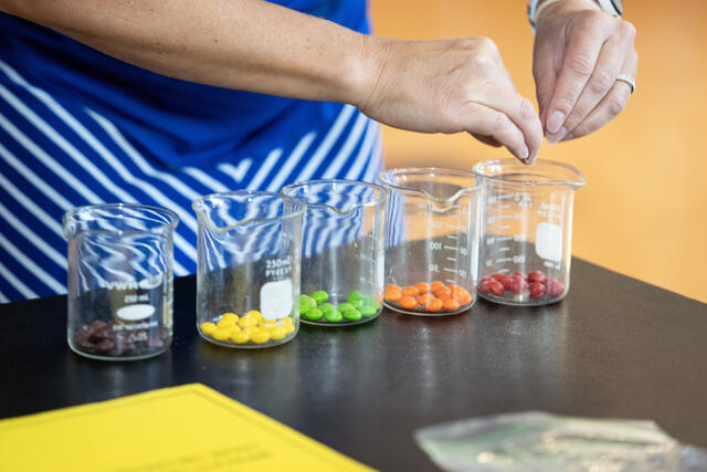 Students play the "anxiety game" by organizing skittles by color