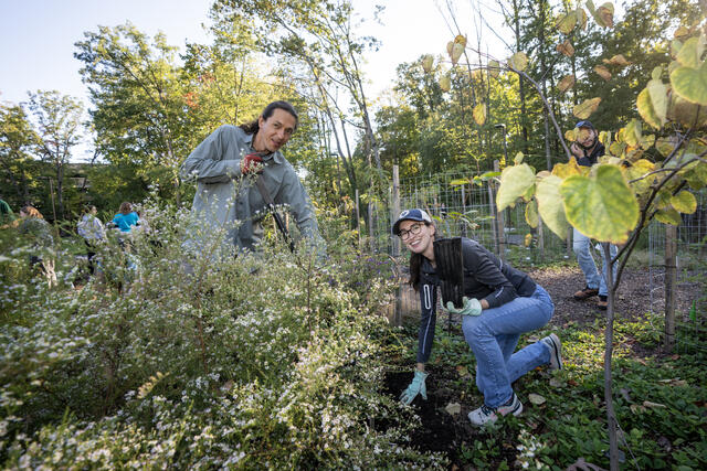 Foragers Forest anniversary 