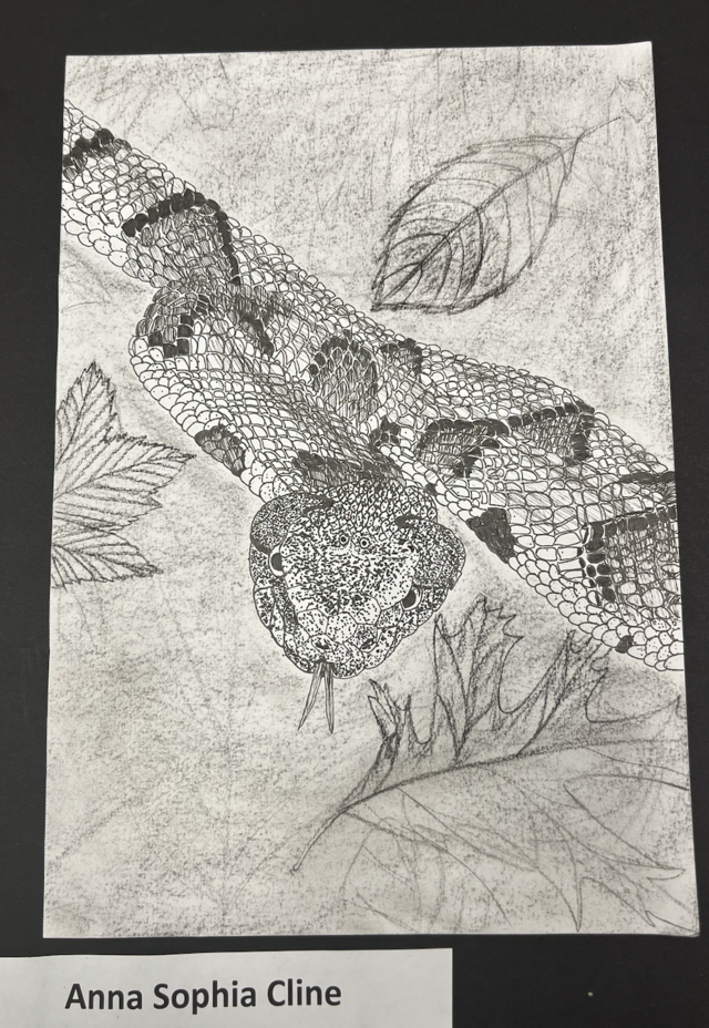 Drawing of a snake