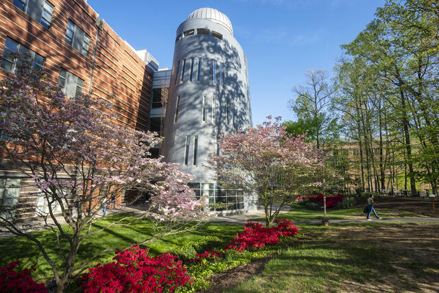 Mason observatory with cherry blossoms