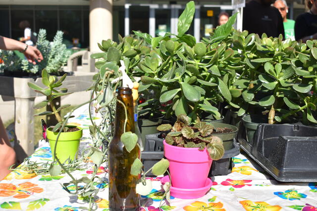 Available plants for purchase at ScienceConnect 2025