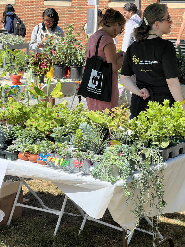 Plants for sale at ScienceConnect 2025