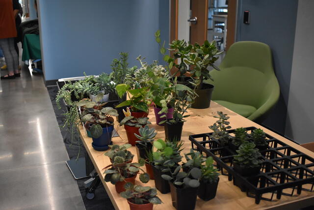 Plant Sale at ScienceConnect 2025 on the SciTech Campus.