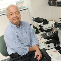 Lance Liotta, Co-Director, Applied Proteomics and Molecular Medicine. Photo by Evan Cantwell/Creative Services