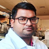 Sameer Tiwari, Postdoctoral Research Fellow, School of Systems Biology