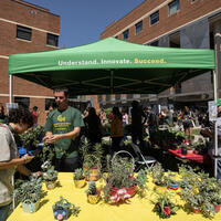 ScienceConnect attendees purchase plants to support the College of Science Student Emergency Fund