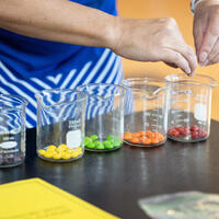 Students play the "anxiety game" by organizing skittles by color