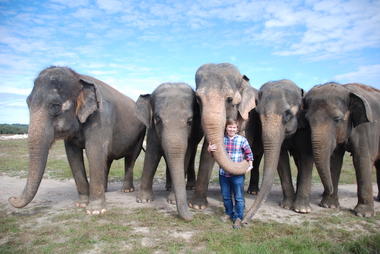 Five PhD students in Mason's Department of Environmental Science and Policy received grants from the Cosmos Club Foundation to conduct conservation research. Chase LaDue, one of the grantees, is studying male Asian elephants. Photo provided.