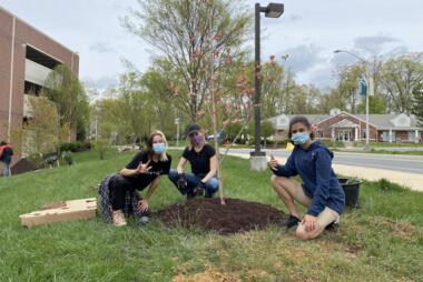 Students also planted and mulched saplings as a part of the ongoing Rappahannock Parking Deck Reforestation Project. Photo by Sarah D'Alexander