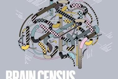 Brain Census Nature Cover 10/7