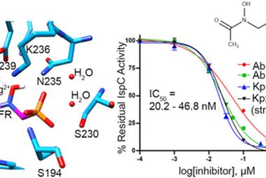 Characterization and Inhibition of 1-Deoxy-d-Xylulose 5-Phosphate Reductoisomerase