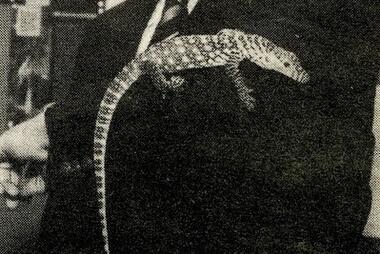 Retro Mason Komodo Dragon