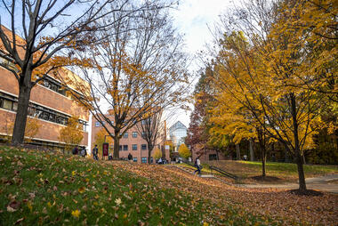 Fall campus