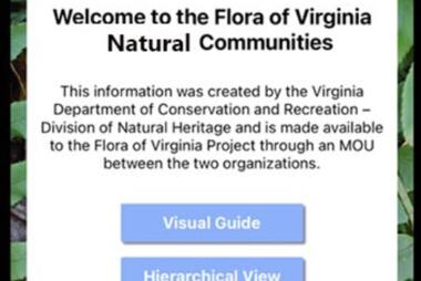 Flora of Virginia app