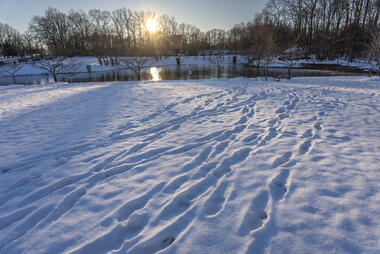 Snow on George Mason's Fairfax Campus