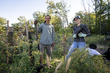 Sarah Roth - Foragers Forest