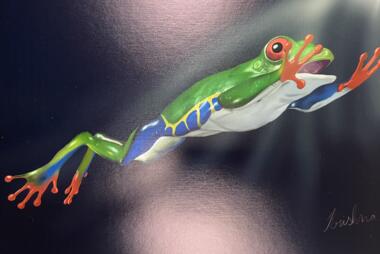 Krishna Chaduruvelly's artwork shows an image of a frog mid-leap