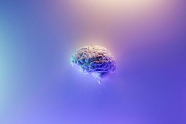 Image of a brain. Photo by Milad Fakurian on Unsplash
