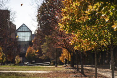 George Mason Campus in the Fall